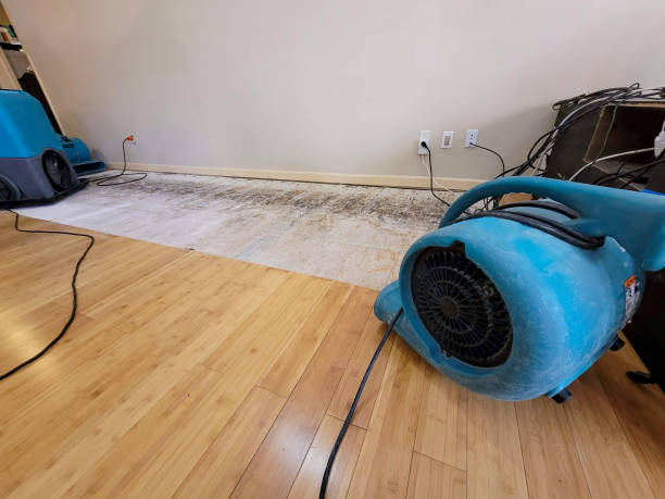 Professional Ceiling Water Damage Repair technician working in Azusa, CA